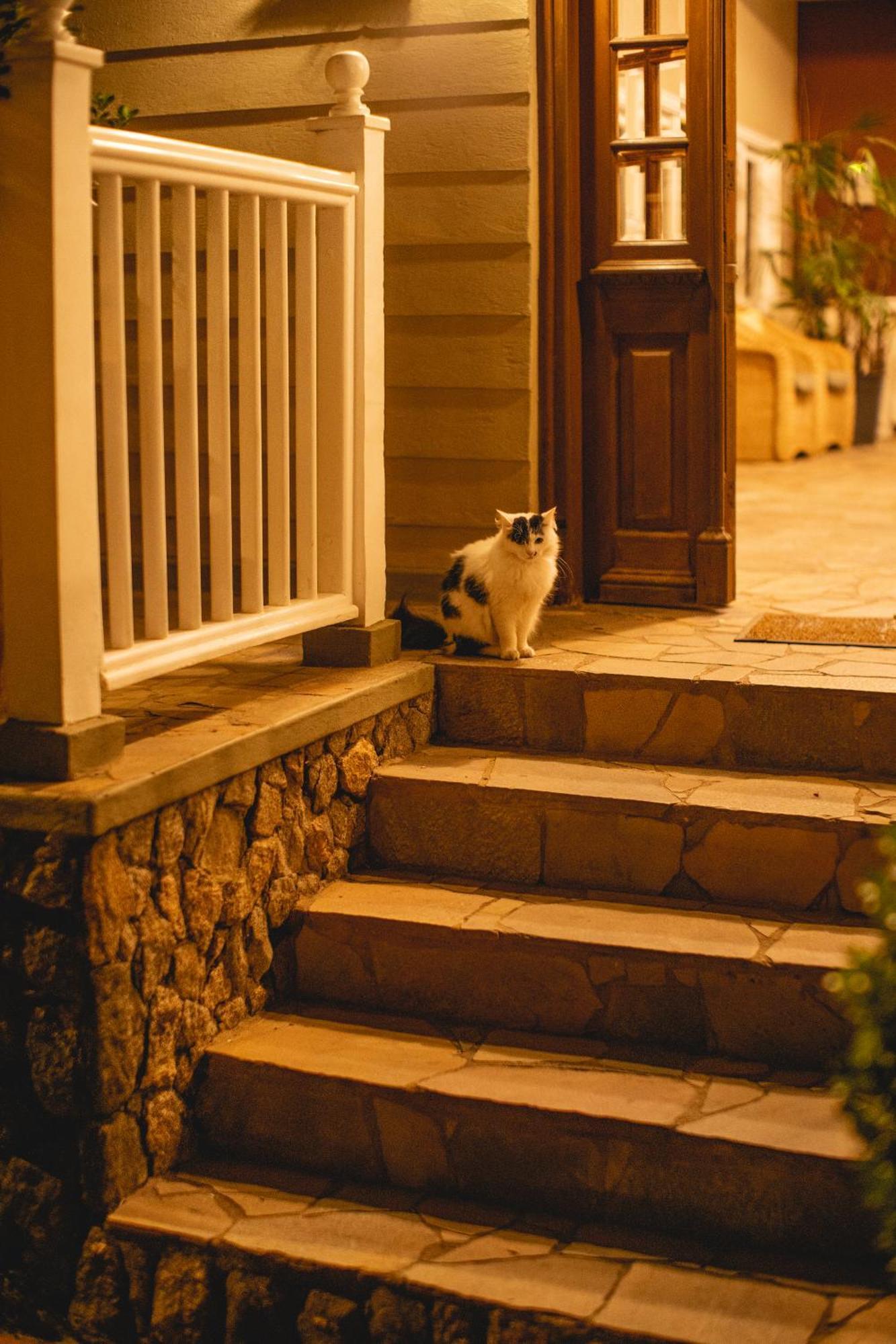 Recanto Da Paz Hotel Fazenda Атибая Экстерьер фото
